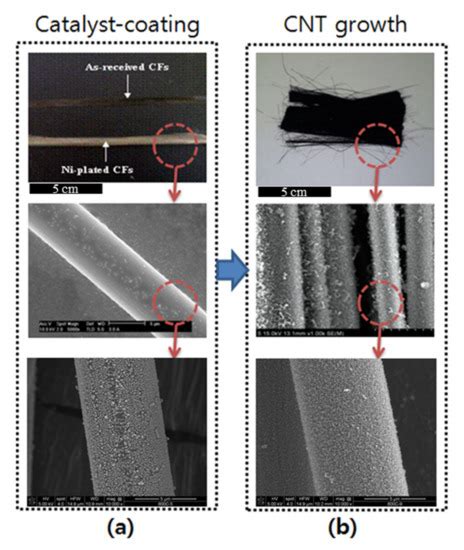 Enhanced Surface Energetics of CNT-Grafted Carbon Fibers for Superior ...