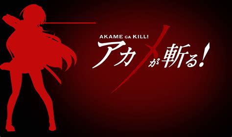 Fond d'écran : Anime, Akame ga Kill 2532x1500 - QQ95201126 - 1357009 - Fond d'écran - WallHere