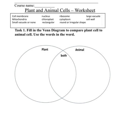 Cell Structure Worksheet 的图像结果
