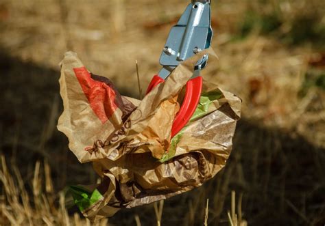 „CLEANUP DAY“ – Umweltschutz und Sport - UnserTirol24