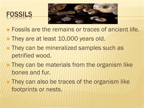 Image result for Fossil Formation Process
