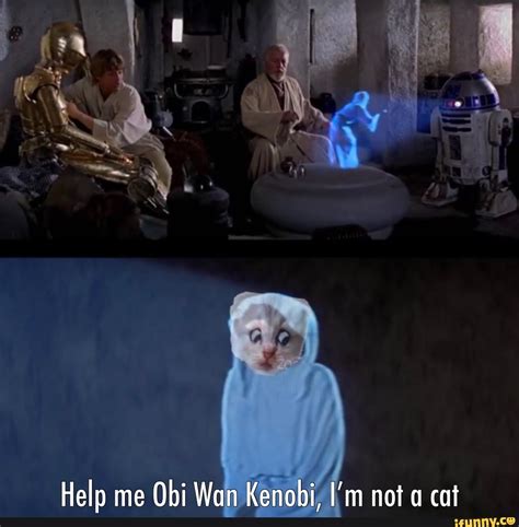 Help me Obi Wan Kenobi, I'm not a cat - iFunny