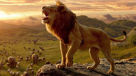 The Lion King Review: Disney’s Photorealistic Remake Is a Disaster ...