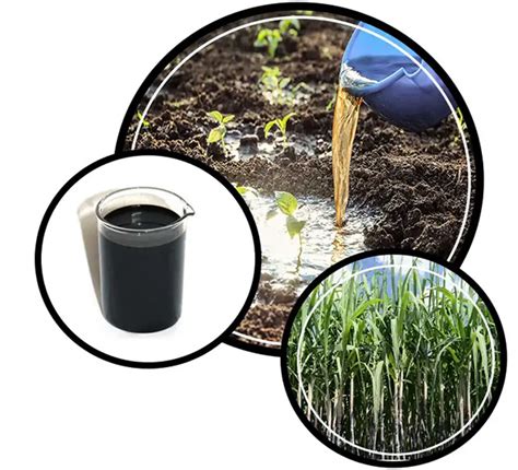 Liquid Humic Fertilizer, Humid Acid Manufacturer