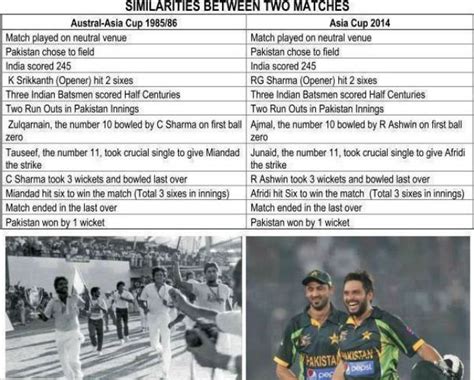 25 Amazing Cricket Facts That'll Blow Your Mind