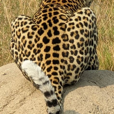 BEST Places to Visit in Kibale National Park - UPDATED 2023 (with ...