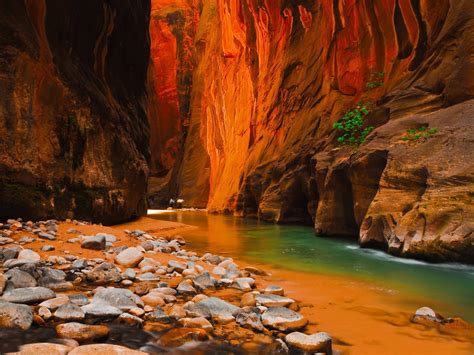 Zion National Park wallpaper | 1600x1200 | #79952