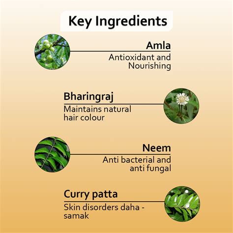 Padmakesh Herbal Hair Wash | Hairfall Control Shampoo: One piece MRP ...