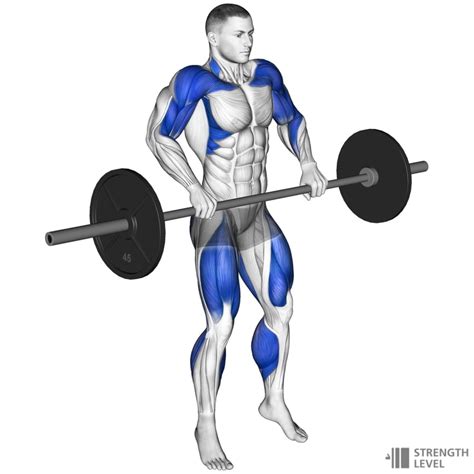 Image result for Power Clean Exercise