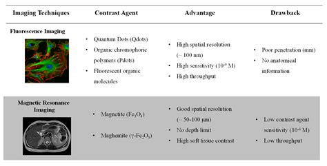 Luminophore and Magnetic Multicore Nanoassemblies for Dual-Mode MRI and ...