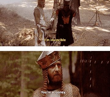 Image result for Monty Python Yay