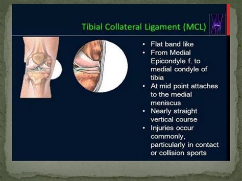 Anatomy and imaging of knee joint | PPTX