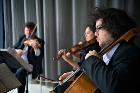 Image result for String Combo Music