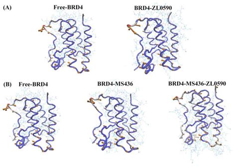 Molecular Dynamics Simulations Combined with Markov Model to Explore ...