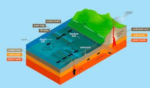 Flashcards: Landforms and Life Flashcard - Social Studies for Class 6