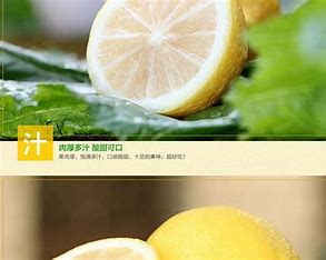 安岳柠檬做了哪些推广 的图像结果