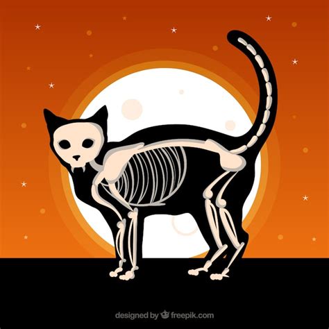 Halloween skeleton cat Vectors - Download Free High-Quality Vectors ...