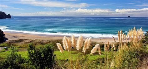 Hot Water Beach, Hot Water Beach in New Zealand Holiday Tour