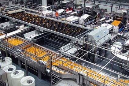 Fruit & Vegetable Processing Market Trends, Overview and Growth ...