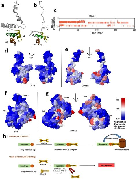 Image result for All-Atom Molecular Dynamic