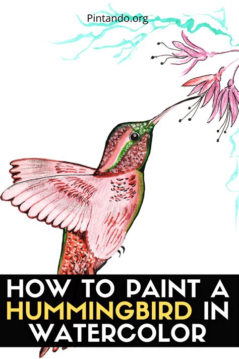 Image result for Simple Hummingbird Watercolor Tutorials