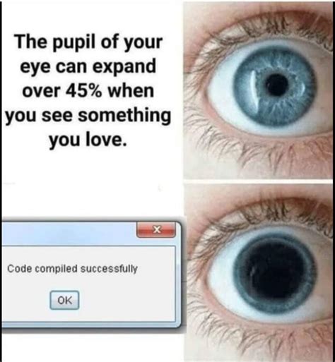 Image result for Round Off Error Meme Coding