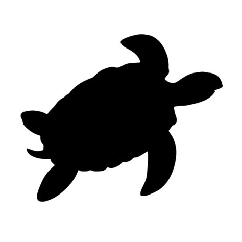 Image result for Turtle Shape Glass