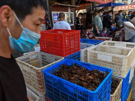 Wuhan's Reopened Wet Markets Down On Business