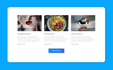 Image result for Bootstrap Features Section