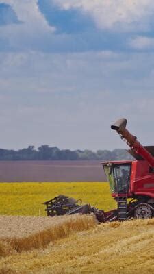 Agriculture Animation 的图像结果