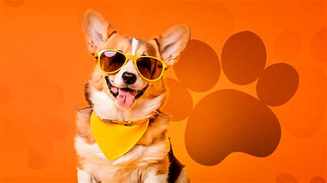 Image result for Project Save