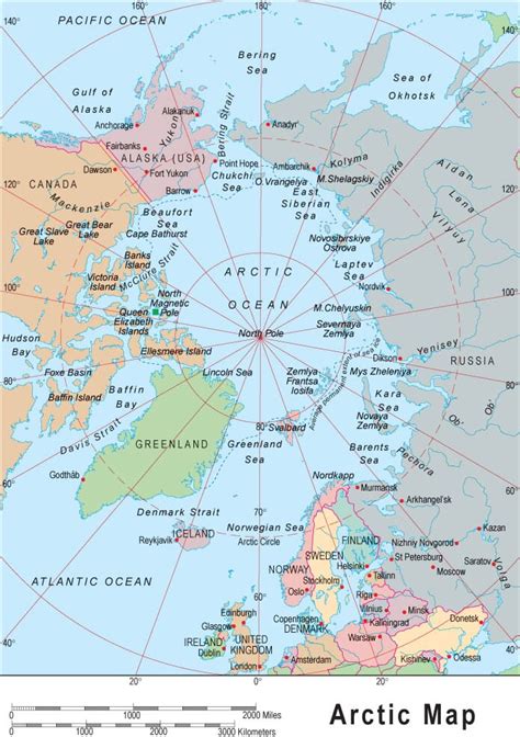 Arctic Map View 的图像结果