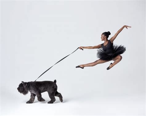 与狗共舞！当芭蕾舞蹈家和狗同框，另类的美！-我的灵感创意