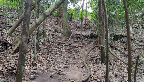 RANIPURAM (2025) All You Need to Know BEFORE You Go (with Photos ...