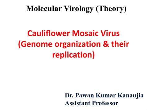 Cauliflower mosaic virus | PPTX