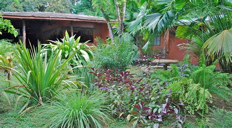 LOS MINEROS GUESTHOUSE (Costa Rica/Osa Peninsula) - Lodge Reviews ...