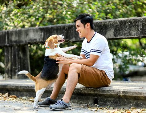 Why Do Humans Bond With Dogs