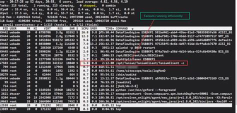 Tanium JSON Data Object CPU 的图像结果