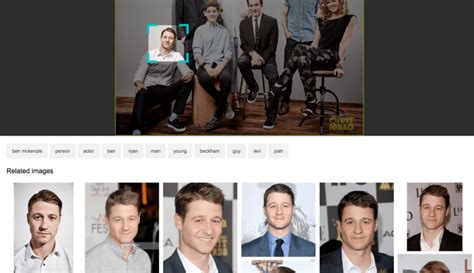 Bing Visual Search Engine 的图像结果