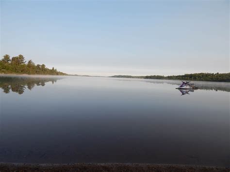 Van Riper State Park Camping | The Dyrt