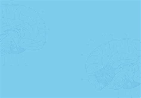 Image result for Hello Brain