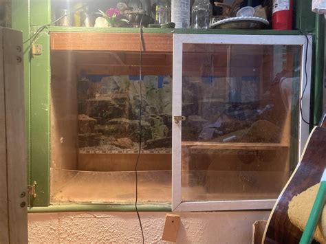 Image result for How Long Are Ball Python Cages