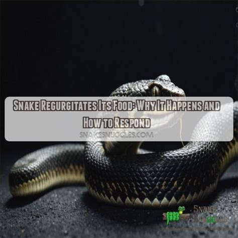 Regurgitates Python 的图像结果