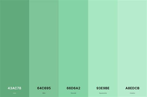 Image result for Green Color Theme Code