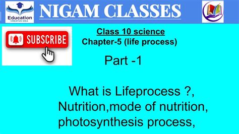 Class 10 Science Life Process 的图像结果