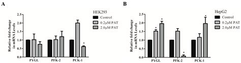 Patulin Alters Insulin Signaling and Metabolic Flexibility in HepG2 and ...