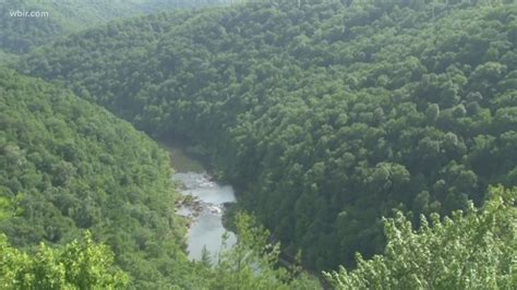 Tennessee burn permit season begins early | wbir.com