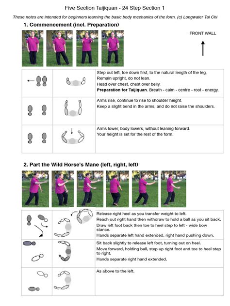 Image result for Tai Chi Module 7