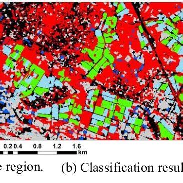 Image Classification in Remote Sensing 的图像结果
