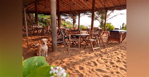 After You're Done With All The Clichéd Stuff? Then This Is The Perfect ...